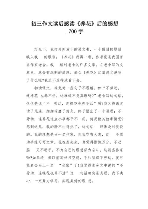 船长工作_700字
