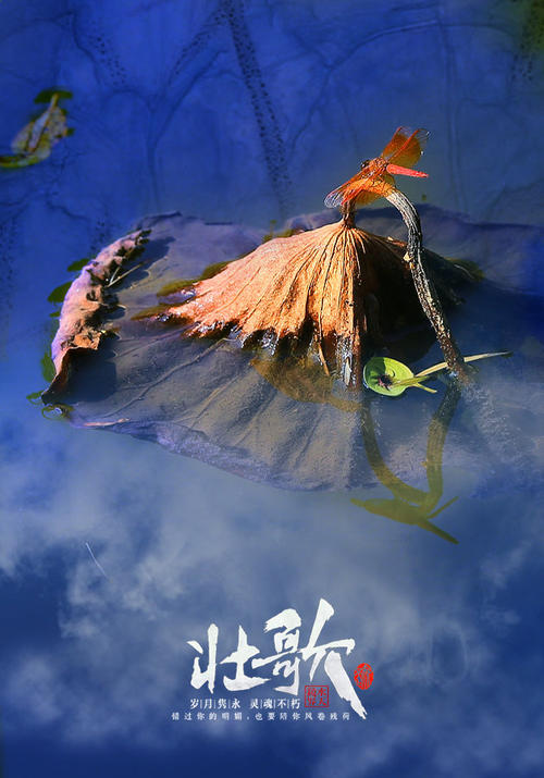 向那些通过青年的人致敬_1500字