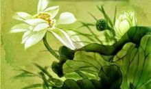 我是个最幸福的人_700字