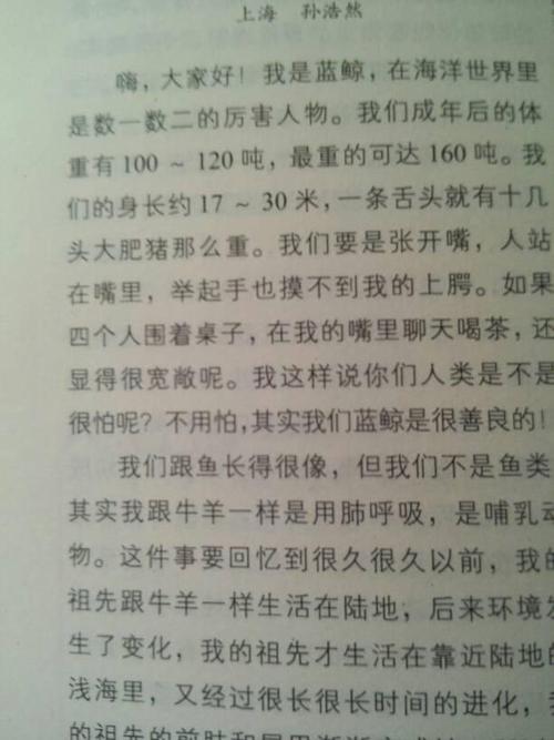 四年级虚构作品：遥控汽车自我先知_700字