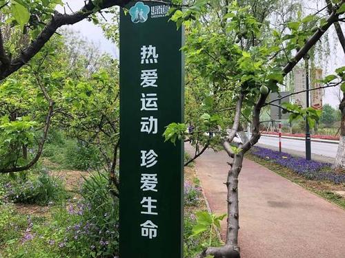 “绿色网络”活动计划