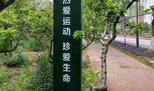 “绿色网络”活动方案