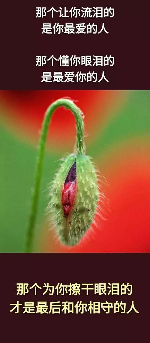 爱疯狂(1)_1200字