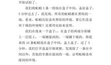 一次有意义的实验_300字