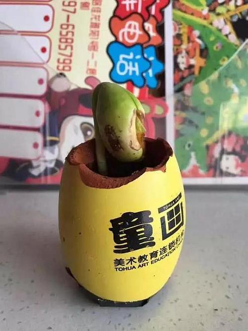 我是三个魔蛋_550字