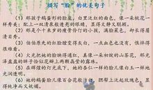 如何对人物外貌进行描写