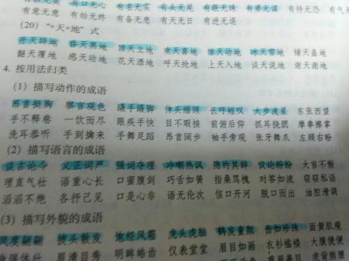 描述人物成语的摘要