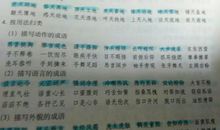 描写人物成语总结