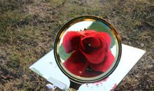 前方的未知路_300字