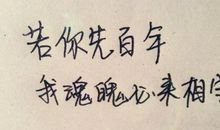 说说_1000字