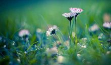 往前走，不回头_300字