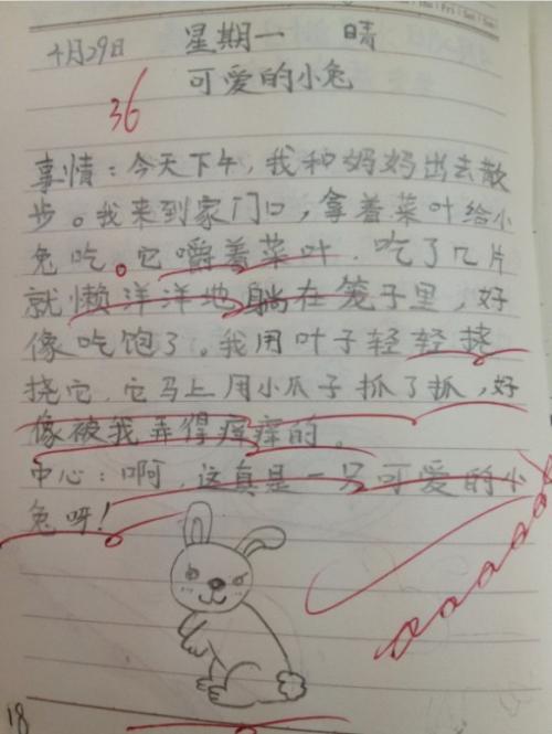[四月一篇文章]和时间赛车_800字