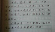 一封来自小鸟的信_300字