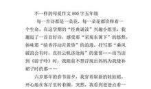 关于母爱的作文：那一双手_700字