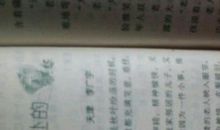 忘不了那一天_700字