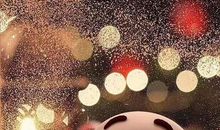 我的人生我做主_600字