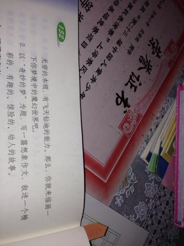 美妙的梦想_450字