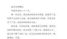 给小鸡的一封信_300字