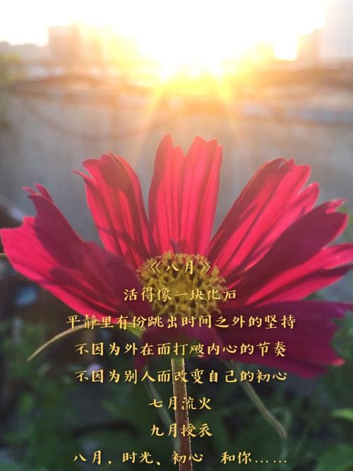 拉出诞生年，爱情模式_600字