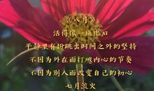 倾一生年华，诉爱的纹花_600字