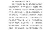 关于新年的作文：过新年(二)_600字