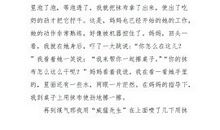 关于新年的作文：特殊的新年_550字