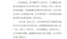 关于新年的作文：新年来了_650字