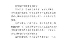 关于新年的作文：新年新打算_500字