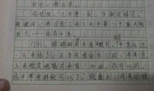 关于新年的作文：新年随想曲_800字