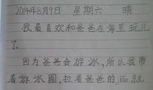 关于2008这可悲的暑假_550字