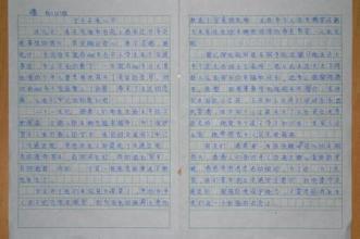 烹饪_450字