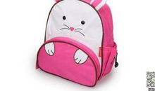 书包减肥梦_800字