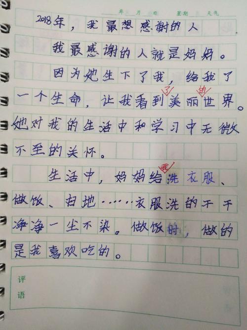 我很感激一个人_400字
