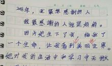 我最感激的一个人_400字