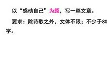 我有一位既关心我又爱看书的姐姐_500字