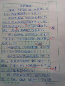 我的老师_300字