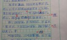 我慈祥的老师_300字