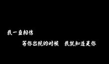 我爱过的那个少年_300字