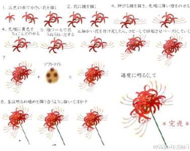 在花的另一边_350字