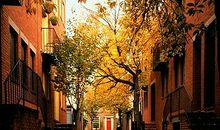 落叶飘过 已不再是曾经。_650字