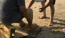 这情何以堪_650字