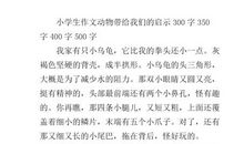 我喜欢的同学_350字