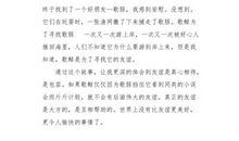 我印象最深的小伙伴_250字