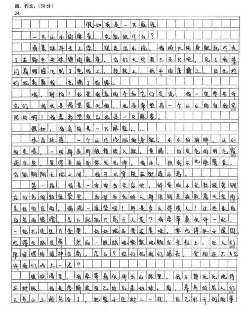 我的网络_200字