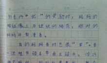 我是这样的一个人_300字