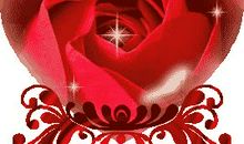 妇女节的作文：祝您节日快乐_650字