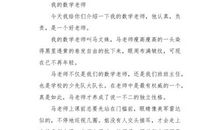 我的数学老师_250字