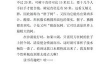 初一议论文：读书的乐趣_600字