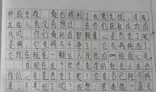 关于学校的作文：学校——我们的港湾_800字