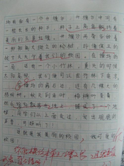 关于学校的组成：学校生态公园_400字
